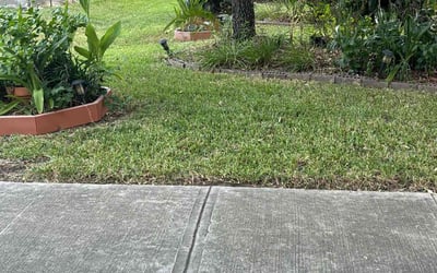 Photo of Susan D.'s yard after getting lawn care in Huntington, NY