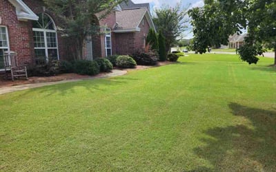 Photo of Erik M.'s yard after getting tree care in Elk River, MN