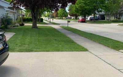 Photo of Trelvaughna W.'s yard after getting lawn care in Vernon Rockville, CT