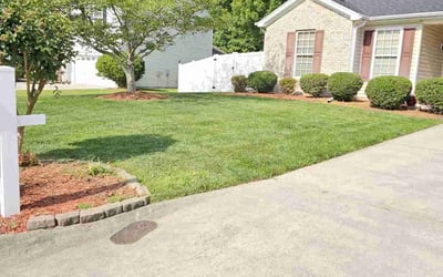 Photo of Jerry O.'s yard after getting lawn care in High Point, NC
