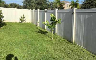 Photo of Karlene P.'s yard after getting lawn care in Jackson, MI