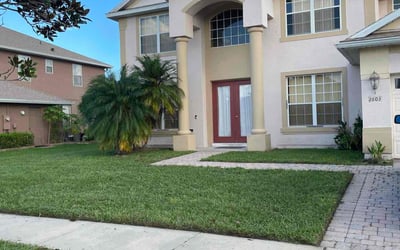 Photo of San P.'s yard after getting lawn care in Belle Glade, FL