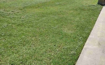 Photo of Sharon M.'s yard after getting lawn care in State College, PA