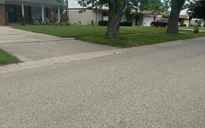 Photo of Lauren D.'s yard after getting lawn care in Fort Gratiot, MI