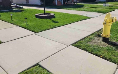 Photo of Joe Y.'s yard after getting lawn care in Maywood, IL