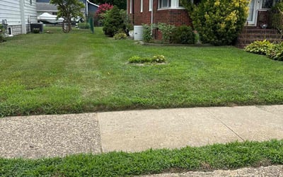 Photo of Martin L.'s yard after getting lawn care in Blackwood, NJ
