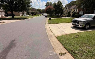 Photo of Tess R.'s yard after getting lawn care in Natick, MA
