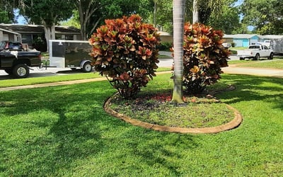Photo of Becky B.'s yard after getting lawn care in Trumbull, CT