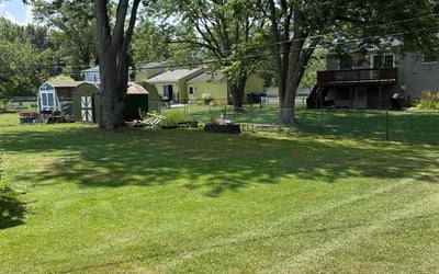Photo of Lavetta T.'s yard after getting lawn care in Baltimore, MD