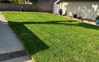 Photo of Frankie R.'s yard after getting lawn care in Rancho Palos Verdes, CA