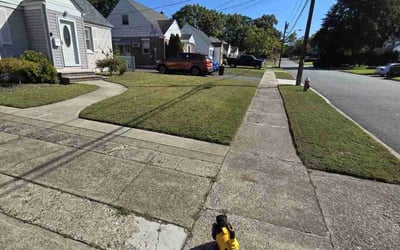 Photo of Julia M.'s yard after getting lawn care in Westwood, NJ
