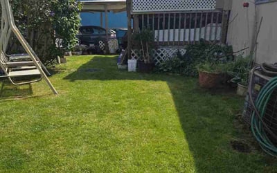 Photo of Diane K.'s yard after getting lawn care in Washougal, WA