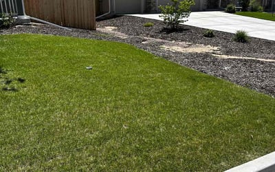Photo of Cindi A.'s yard after getting lawn care in Colorado Springs, CO