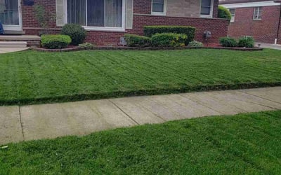 Photo of Julie S.'s yard after getting lawn care in Harlingen, TX