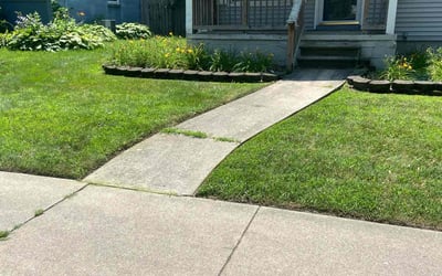 Photo of Patti B.'s yard after getting lawn care in Washington, IL