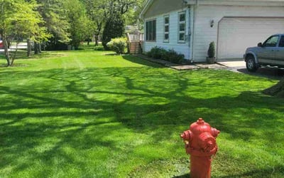 Photo of Darren S.'s yard after getting lawn care in Palos Heights, IL