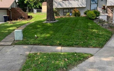 Photo of Mark B.'s yard after getting lawn care in Huntsville, AL