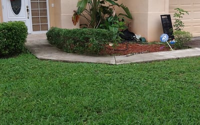 Photo of Michael D.'s yard after getting lawn care in Downingtown, PA