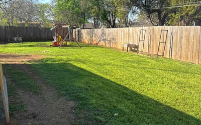 Photo of Amy H.'s yard after getting lawn care in Brandon, FL