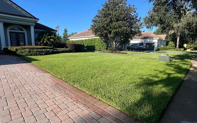 Photo of Cori R.'s yard after getting lawn care in Sebring, FL