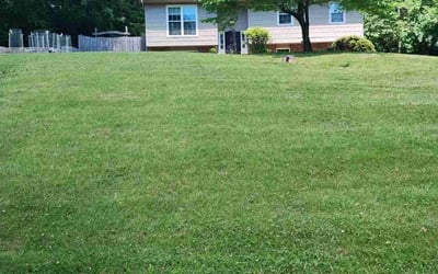 Photo of Aaronls M.'s yard after getting lawn care in Farragut, TN