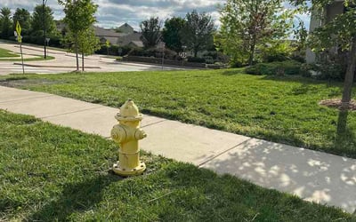 Photo of Stephanie J.'s yard after getting lawn care in Calumet City, IL