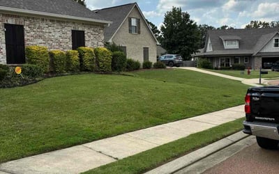 Photo of Daniel L.'s yard after getting lawn care in Rossville, GA