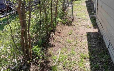 Photo of Samantha S.'s yard after getting lawn care in Mount Juliet, TN