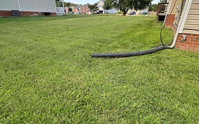 Photo of Katie G.'s yard after getting lawn care in Ruther Glen, VA