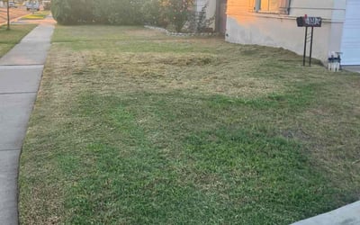 Photo of John Z.'s yard after getting lawn care in Buena Park, CA