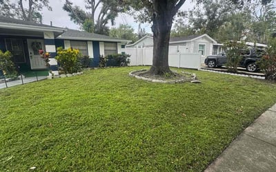 Photo of Jen C.'s yard after getting lawn care in St. Petersburg, FL