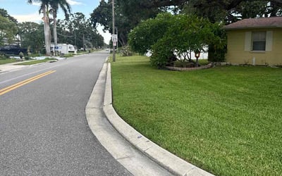 Photo of Merary G.'s yard after getting lawn care in Baltimore, MD