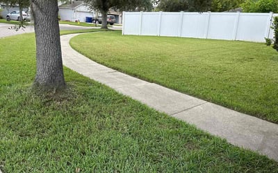 Photo of S R.'s yard after getting lawn care in Brooksville, FL