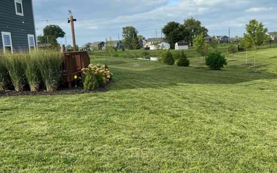 Photo of Rosalind B.'s yard after getting lawn care in Troutdale, OR