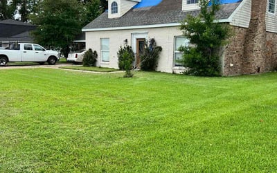 Photo of Mary J.'s yard after getting lawn care in Fairborn, OH