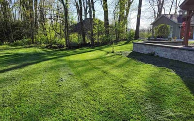 Photo of Jennifer M.'s yard after getting lawn care in Circleville, OH