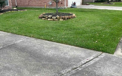 Photo of Daniel F.'s yard after getting lawn care in Spring, TX