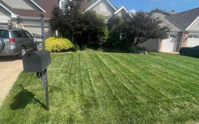 Photo of Morgan K.'s yard after getting lawn care in Imperial, MO