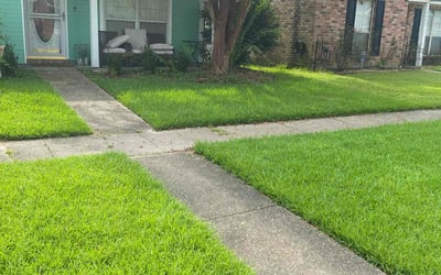 Photo of Ashley D.'s yard after getting lawn care in Baton Rouge, LA