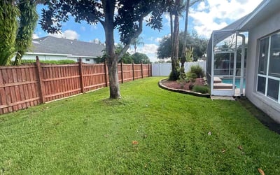 Photo of Danny R.'s yard after getting lawn care in Valrico, FL