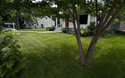 Photo of David R.'s yard after getting lawn care in Wayzata, MN
