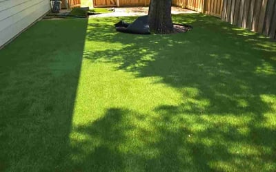 Photo of David D.'s yard after getting lawn care in Haverhill, MA