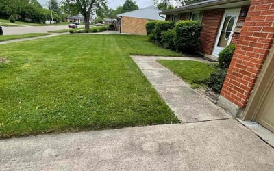 Photo of Frank M.'s yard after getting lawn care in Coachella, CA