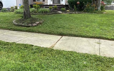 Photo of Ronald E.'s yard after getting lawn care in New Castle, DE