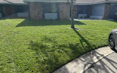 Photo of Richard R.'s yard after getting lawn care in College Point, NY