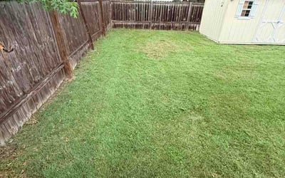 Photo of Daphne W.'s yard after getting lawn care in Cockeysville, MD