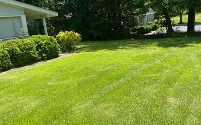 Photo of Jay B.'s yard after getting lawn care in Center Point, AL