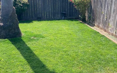 Photo of Saurabh S.'s yard after getting lawn care in Richmond, CA