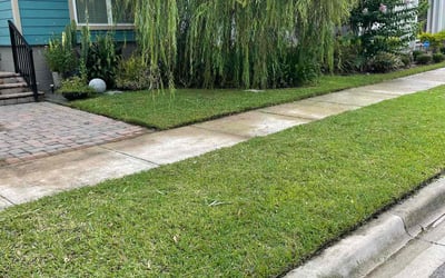 Photo of Crystal C.'s yard after getting lawn care in South Hadley, MA