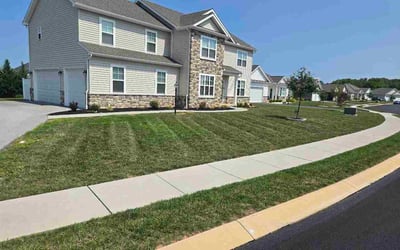 Photo of Stephanie T.'s yard after getting lawn care in Orlando, FL